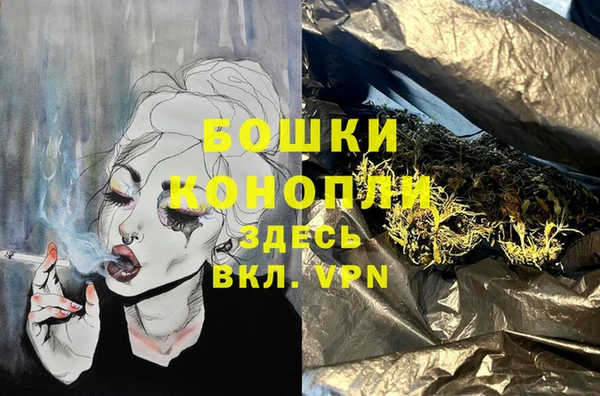 дмт Богородск