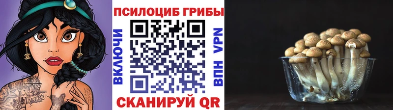 дарнет шоп  Бобров  Псилоцибиновые грибы мицелий 